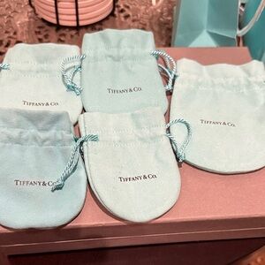 Tiffany & Co. Robins Egg Blue Silver Pouches